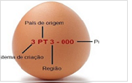 Consumo de ovos - o que garante a sua segurança?