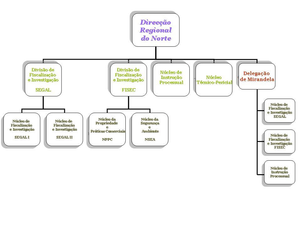 Organograma da Direcção Regional do Norte