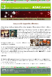 Newsletter nº 31 - Dezembro 2010