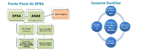 Ponto Focal da EFSA / Conselho Cientifico e Painéis Temáticos    