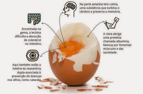 Figura 2: Nutrientes do ovo