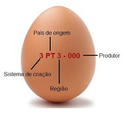 Figura 3: Código inscrito na casca do ovo Figura 3: Código inscrito na casca do ovo