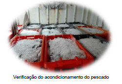 A ASAE realizou uma operação conjunta com a Marinha Portuguesa A ASAE realizou uma operação conjunta com a Marinha Portuguesa