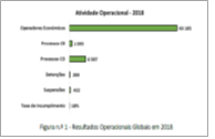 Resultados Operacionais 2018. Principais Indicadores