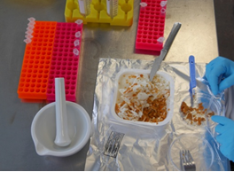 Laboratório de Segurança Alimentar na senda da Defesa do Consumidor