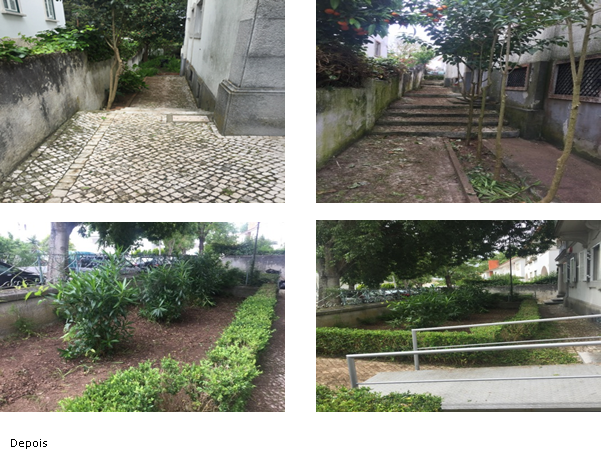 Responsabilidade Social Responsabilidade Social