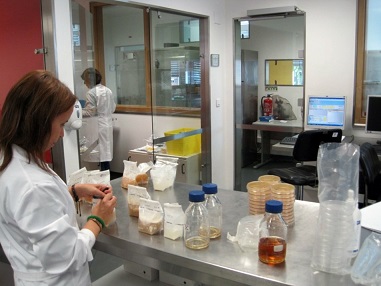 Laboratório de Microbiologia e Biologia molecular Laboratório de Microbiologia e Biologia molecular
