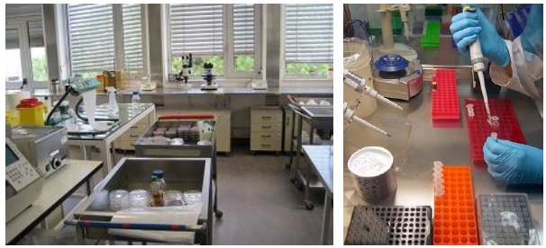 Laboratório de Microbiologia e Biologia molecular
