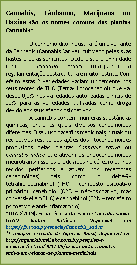 Uso de Cânhamo (Cannabis sativa) e/ou CBD (canabidiol) em Alimentos