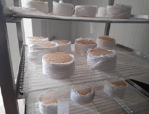 ASAE procede à apreensão de mais 250 quilos de queijo