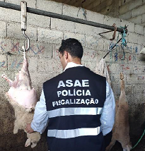 ASAE fiscaliza exploração pecuária e desmantela matadouro ilegal
