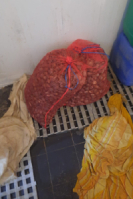 ASAE realiza Operação “Mercados Municipais” – pescado e moluscos bivalves vivos