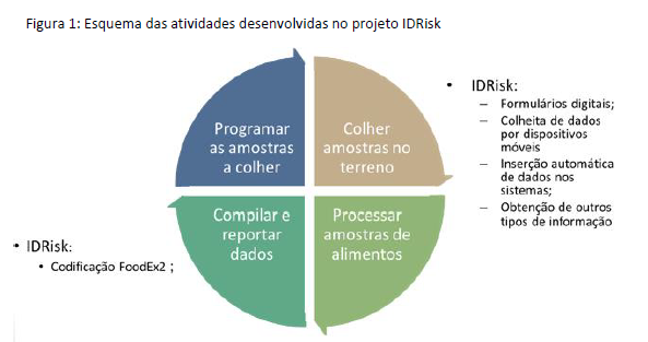 Projeto internacional ID Risk Projeto internacional ID Risk