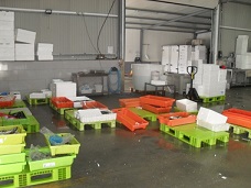 ASAE procede à apreensão de 552 kg de produtos de origem animal e suspende atividade de entreposto f
