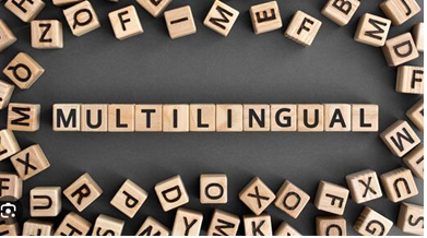 Multilinguismo EU-24 na EFSA