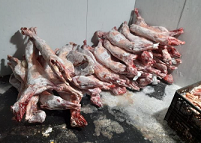 ASAE apreende 6,6 toneladas de carne no âmbito do combate ao crime de abate clandestino