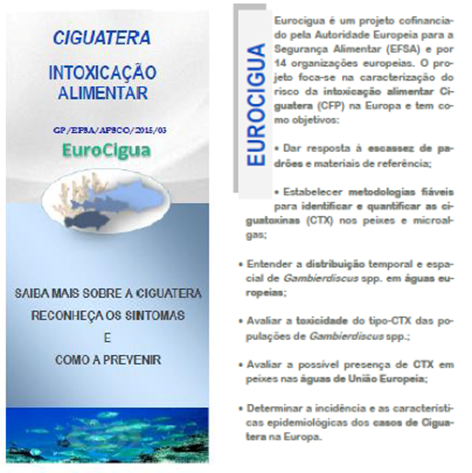 Projetos