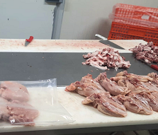 ASAE-apreende-9-toneladas-de-carne-imprópria-para-consumo-num-entreposto-frigorifico-ilegal-operação