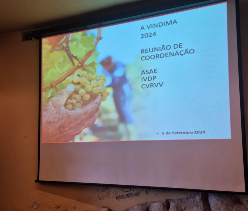 Vinhos Verdes, Vinhos do Douro e do Porto e ASAE reforçam Cooperação para a Vindima 2024