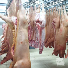 ASAE-instaura-processo-crime-por-desobediência-e-apreende-mais-3,3-toneladas-de-carne-de-suíno