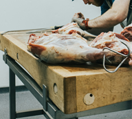 ASAE combate práticas fraudulentas na comercialização de carne - Operação Butcher