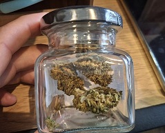 ASAE instaura 19 processos-crime e apreende artigos com Cannabis e CBD | OPERAÇÃO EUFORIA