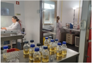 Laboratório de Microbiologia e Biologia Molecular