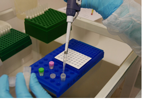 Laboratório de Microbiologia e Biologia Molecular