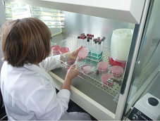 Laboratório de Microbiologia - LM Laboratório de Microbiologia - LM