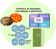 Avaliação de Risco - Atividades Técnico-cientificas Avaliação de Risco - Atividades Técnico-cientificas