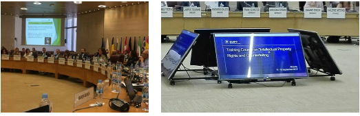 A ASAE e os Direitos de Propriedade Intelectual e Falsificação de bens A ASAE e os Direitos de Propriedade Intelectual e Falsificação de bens
