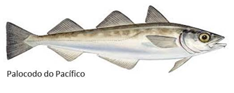 O Bacalhau e a Autenticidade Alimentar O Bacalhau e a Autenticidade Alimentar
