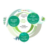 ASAE na Economia Circular 2020 ASAE na Economia Circular 2020